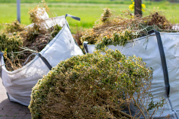 Best Recycling Services for Junk  in Pine Air, FL